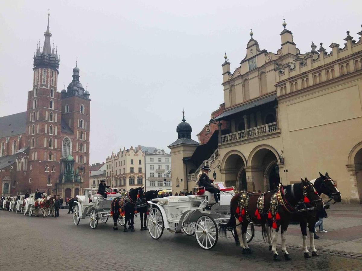 Studio Appartment In Old Town Krakow Ngoại thất bức ảnh